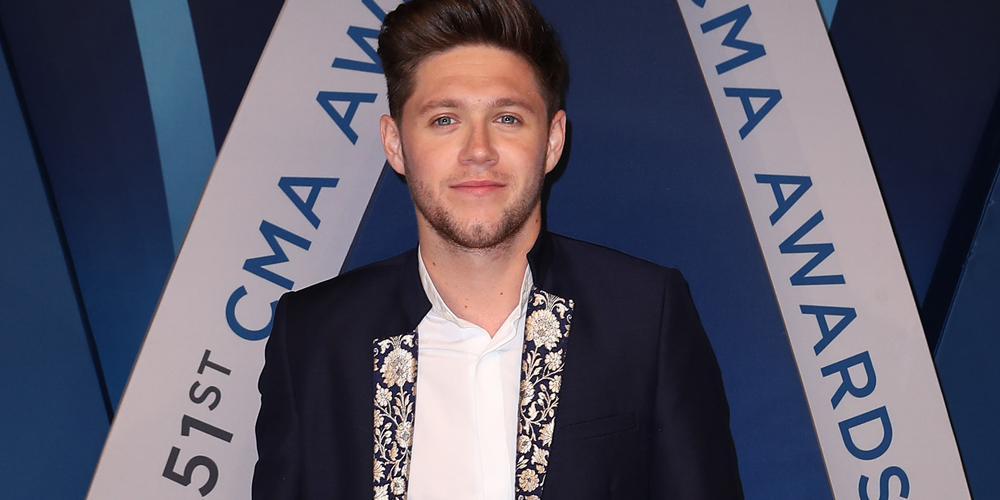 Niall Horan Would Wear a Suit Every Day If He Could | Fashion, Niall ...