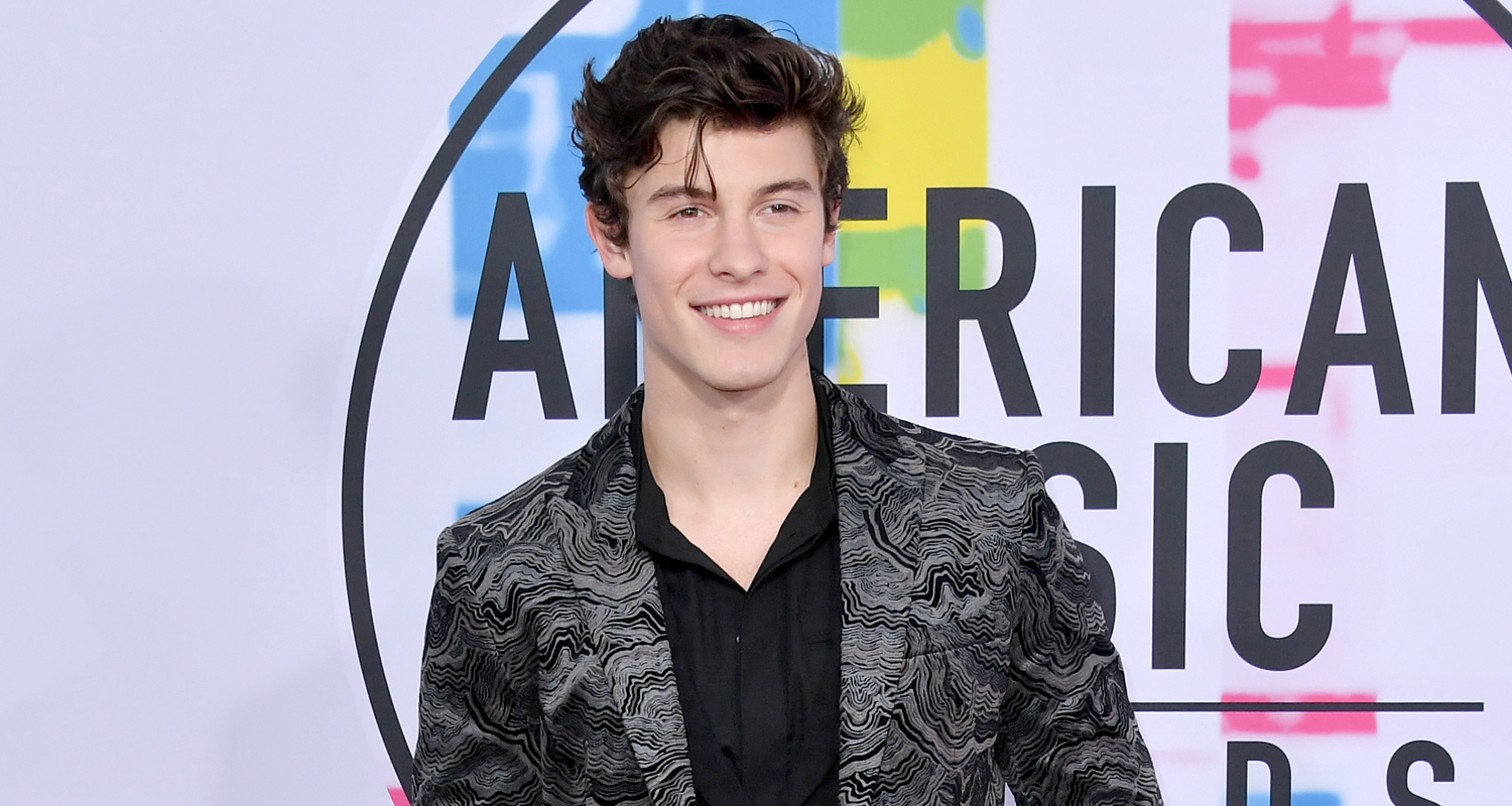 Shawn Mendes Looks So Handsome at American Music Awards 2017! 2017