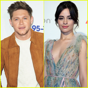 Niall Horan Totally Knew About Camila Cabello's One Direction Fan Account