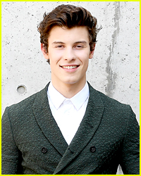 This Model Called Shawn Mendes 'Shady' & Here's Why