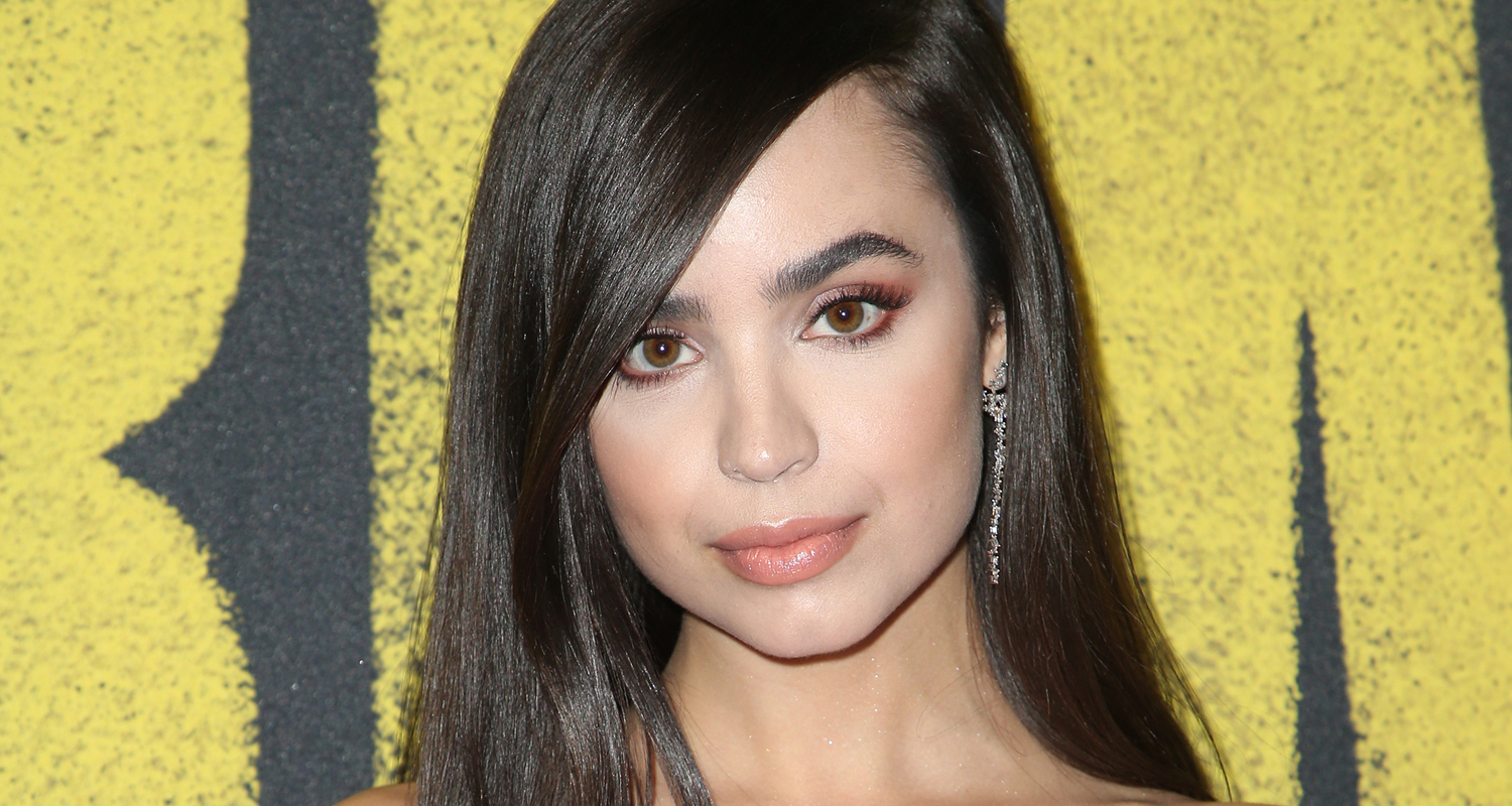Sofia Carson Looks Back on Her Incredible 2017! 