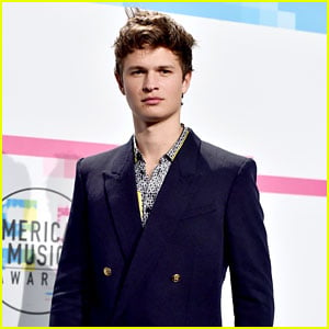 Ansel Elgort Will Play Theo in 'The Goldfinch' Film
