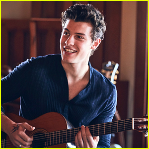 Shawn Mendes Reveals New Song 'In My Blood' Was Written About His Anxiety