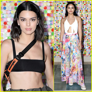 Kendall Jenner Flaunts Her Abs at Coachella Party!