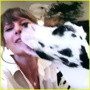 Taylor Swift's 'Reputation Tour' Update Gets Interrupted by Her Mom's Dog!