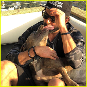 Zac Efron Fosters, Then Adopts Puppy Who Was About to Be Euthanized - See His Sweet Pics With Maca