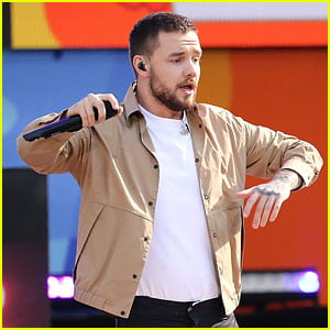 Liam Payne Reveals New Album Release Date, Talks Future of One Direction