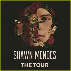 Shawn Mendes Announces 'Shawn Mendes: The Tour' - See the Dates!