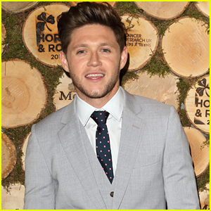 Niall Horan Is Taking A Break After His World Tour Ends | Niall Horan ...