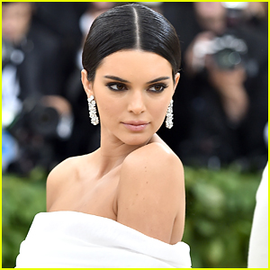 Cops Were Called After Kendall Jenner’s Dog Reportedly Bit a Little ...