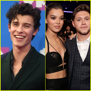 Shawn Mendes Thought Everyone Knew Niall Horan & Hailee Steinfeld Were Dating
