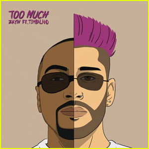 Zayn Malik Drops 'Too Much' feat. Timbaland - Stream, Lyrics & Download!