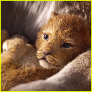 'The Lion King' Comes to Life in Teaser Trailer for 2019 Remake!