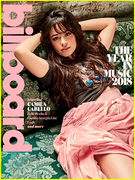 Camila Cabello Wants to Be an Artist, Not a Celebrity!