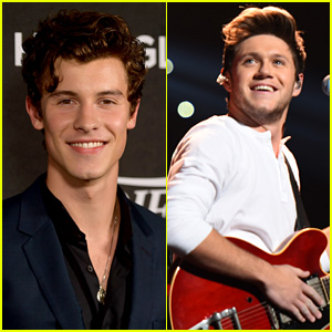 Shawn Mendes Opens Up About That Illusive Collaboration With Niall Horan