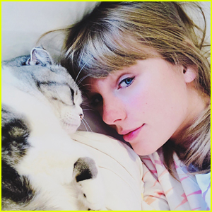 Taylor Swift Shares a Christmas Selfie with Her Cat Meredith!
