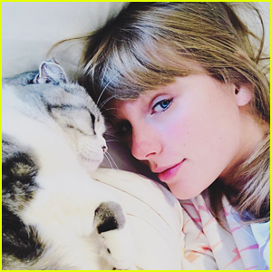 Taylor Swift Shares a Christmas Selfie with Her Cat Meredith! | 2018 ...