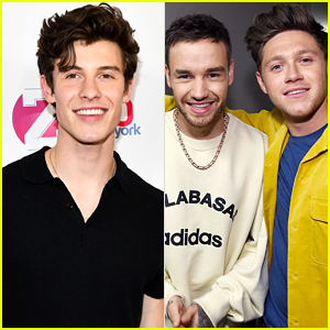 Liam Payne Wants To Be Part Of Niall Horan & Shawn Mendes's Planned Collaboration