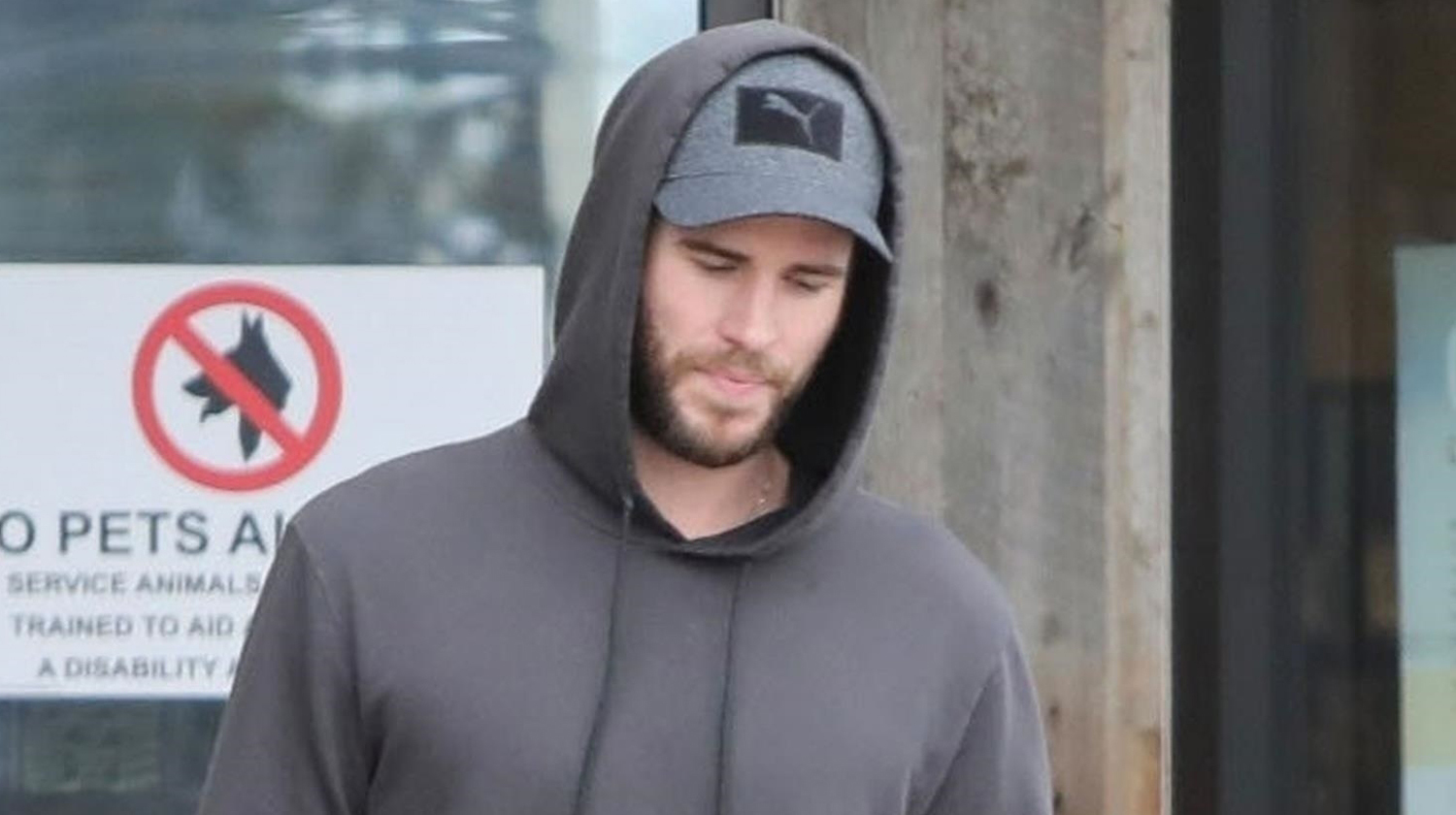 Liam Hemsworth Runs Errands Around Malibu | Liam Hemsworth | Just Jared Jr.