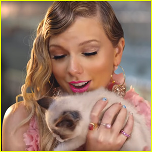 Fans Think Taylor Swift Got a New Cat After 'Me!' Music Video!