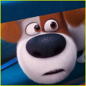 Watch the Adorable Trailer for 'The Secret Life of Pets 2'!