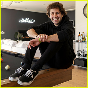 David Dobrik's Home Includes a Flamethrower, Stunning View, & More (Video)