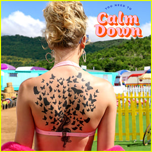 Taylor Swift Reveals Celebrity Cast For 'You Need to Calm Down' Video!