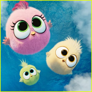 'Angry Birds 2' Debuts Adorable Hatchlings Clip - Watch Here!