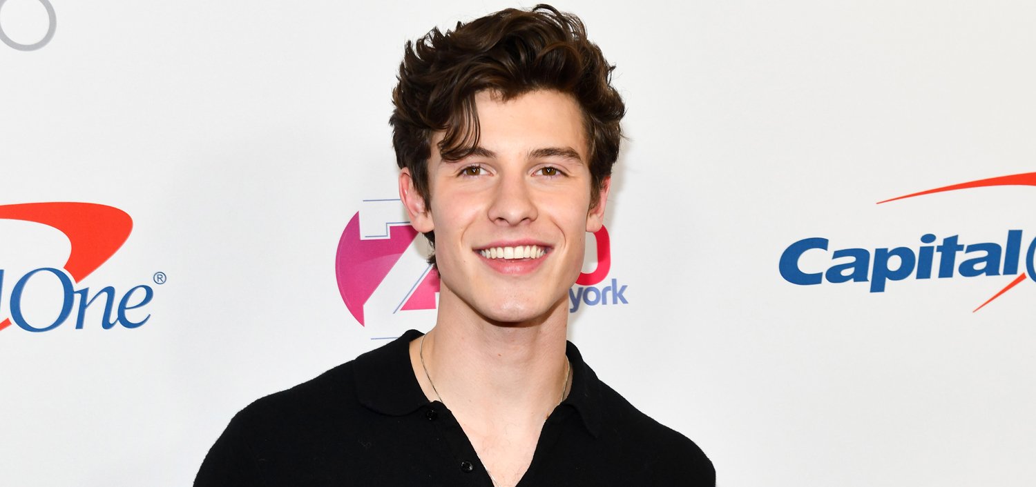 Shawn Mendes Gets a Butterfly Tattoo with an Amazing Backstory! Shawn