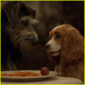 'Lady & the Tramp' Reboot Reveals First Trailer - Watch Now!