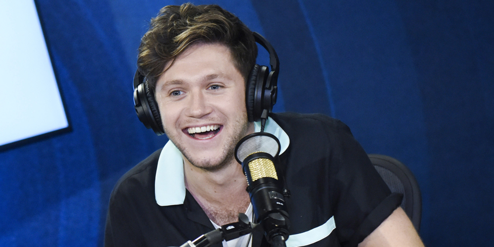 Niall Horan Wanted To Make a Bit of Noise With New Single ‘Nice To Meet ...