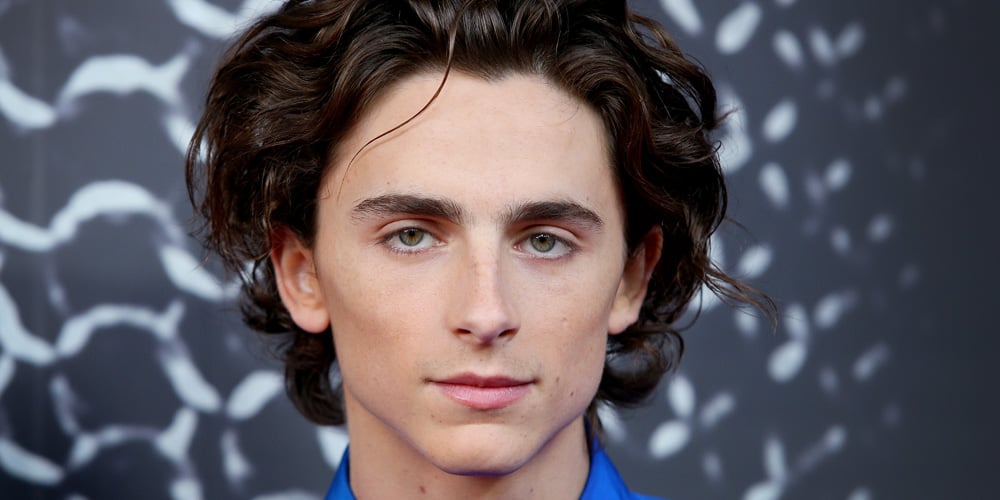 Timothee Chalamet Wears Bright Blue For ‘The King’ Premiere in ...