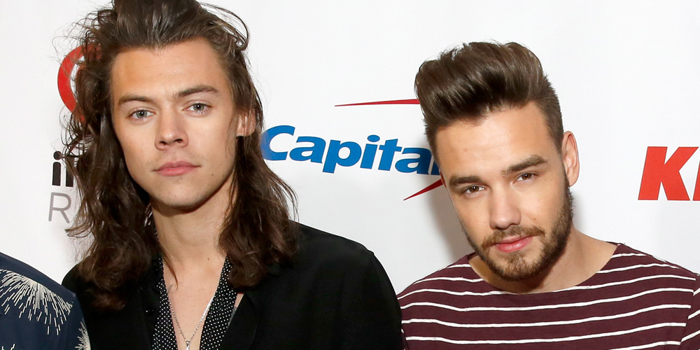 Liam Payne Is 100 Down To Do A Song With Harry Styles! Harry Styles, Liam Payne, maya henry