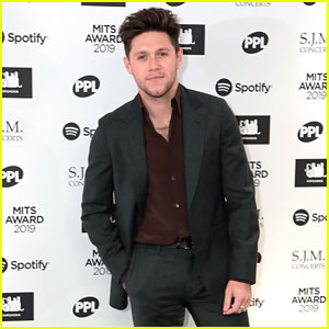 Niall Horan Has Already Written a Song with Future Tourmate Lewis Capaldi!