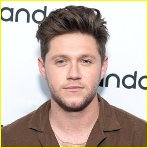 Niall Horan Calls Out Online Bullies In Series of Tweets | Niall Horan ...