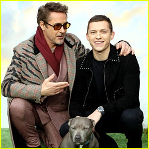 Tom Holland Brings His Dog Tessa to 'Dolittle' London Premiere!