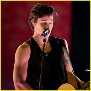 Shawn Mendes Is Helping With Australian Fire Relief