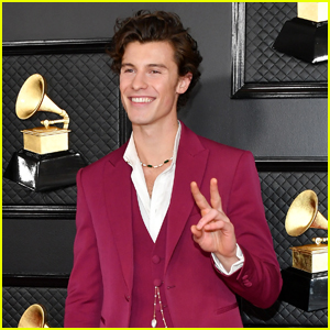 Shawn Mendes Brings the Peace to Grammys 2020