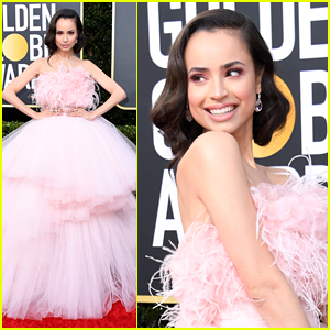Sofia Carson Stuns in Pink Gown For Golden Globes 2020