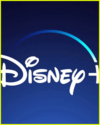 Why Are These Titles Being Removed From Disney+ Already?