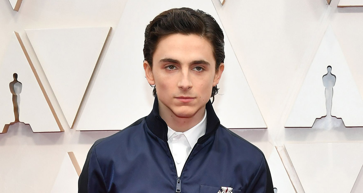 Timothee Chalamet Presents With Natalie Portman at Oscars 2020 2020
