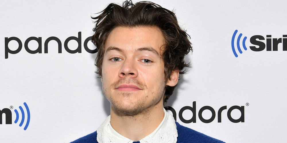 Harry Styles Is Opening Up About Marriage & Dating! | Harry Styles ...