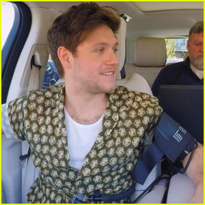 Niall Horan Shares His Thoughts on a One Direction Reunion During Lie Detector Test
