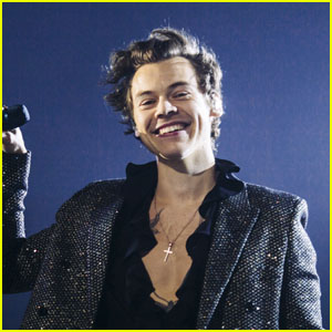 Would Harry Styles Virtually Reunite With One Direction in Quarantine?