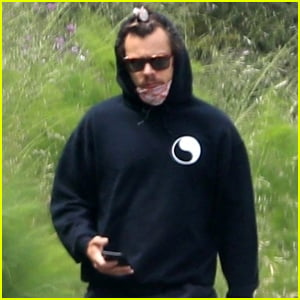 Harry Styles Practices Social-Distance While Out on Solo Walk