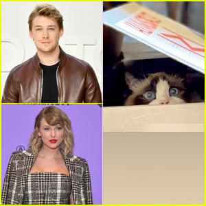 Photos from Taylor Swift's Cutest Cat Photos