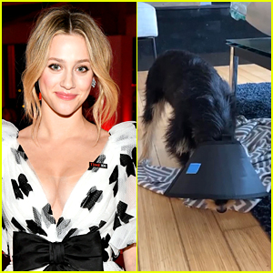 Lili Reinhart Gives Update On Dog Milo's Condition After Attack