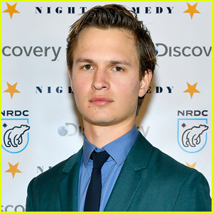 Ansel Elgort Releases a Statement About Recent Allegations Made Against Him