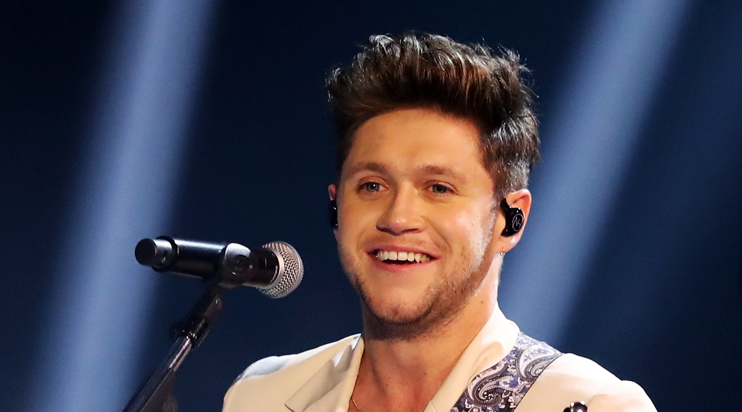 Niall Horan Reportedly Has a New Girlfriend! | Amelia Woolley, Niall ...