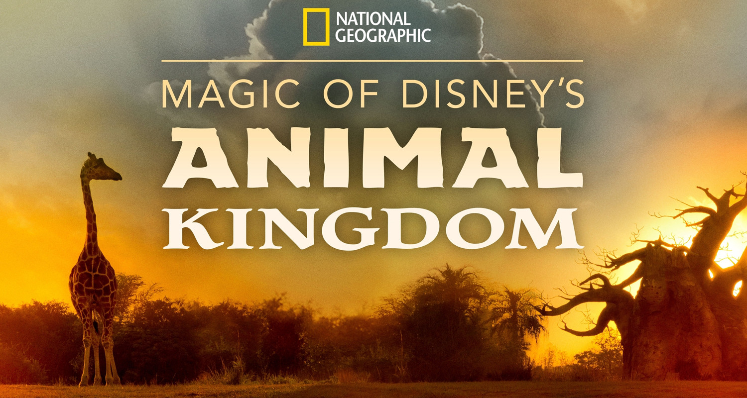 Disney+ To Take Fans Behind-The-Scenes of Walt Disney Worldâ€™s Animal